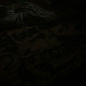 Meet your Posher, Leyland